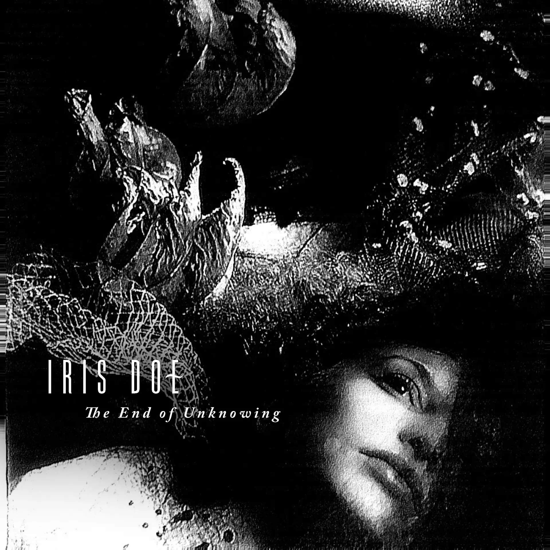 Iris Doe - The End of Unknowing